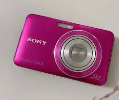 SONY W310